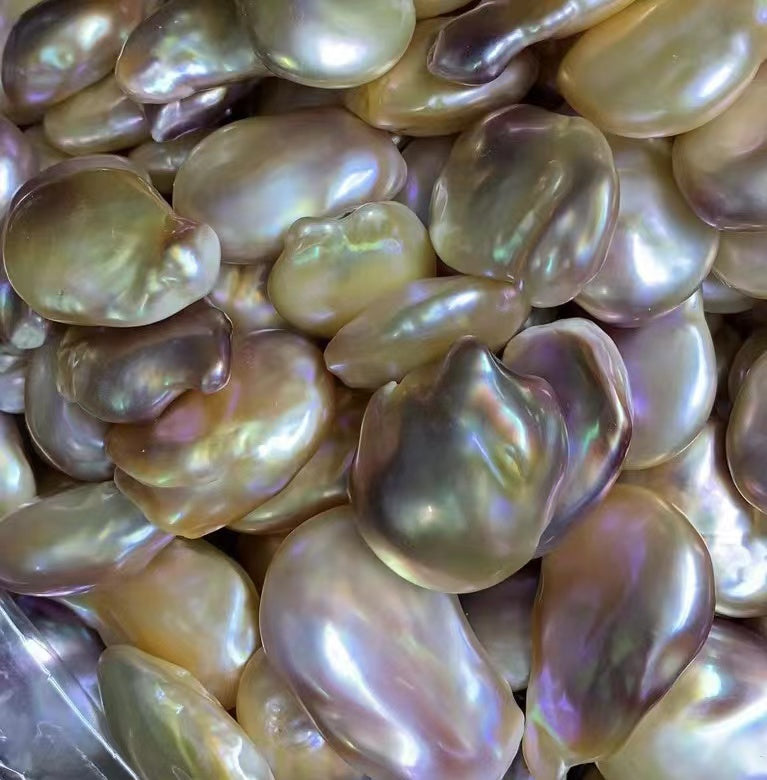 A04.【Live】 UFO Fresh water Pearls Oyster Large and rare, limited availability