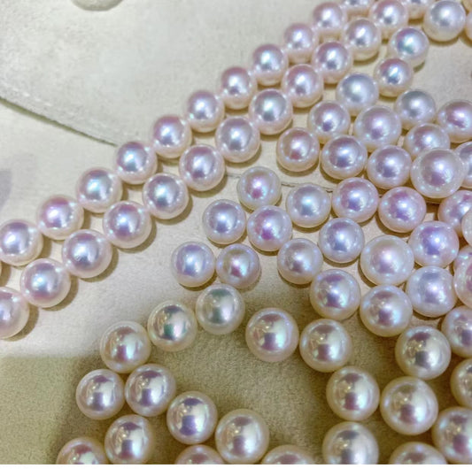 A40.Aurora Freshwater pearl oysters (white,pink)