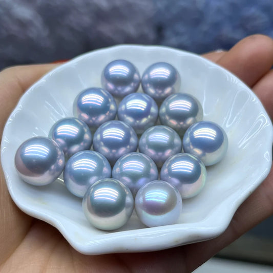 A09.【Live】Silver Queen Pearl Oyster New Arrival💥💥💥