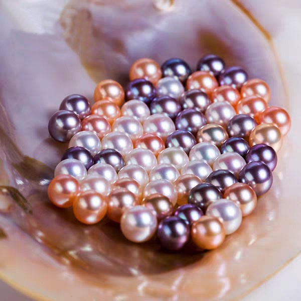 0.000.💥[LIVE OPENING] Cluster king with 20-30 pearls💥 Company's best selling shell