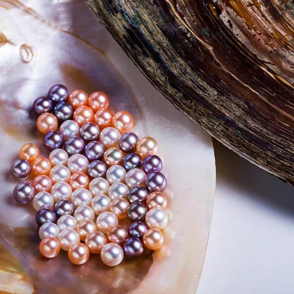 0.000.💥[LIVE OPENING] Cluster king with 20-30 pearls💥 Company's best selling shell